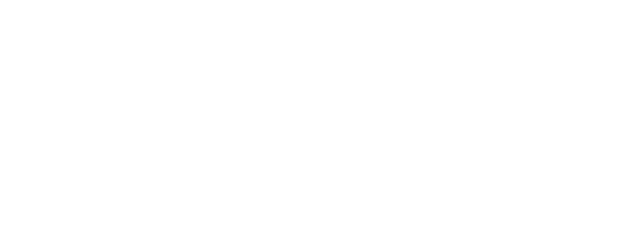 Sponsor