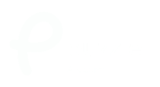 Sponsor